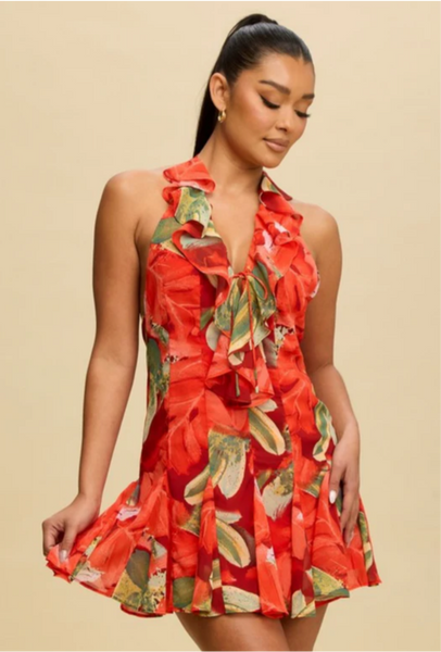 Bally Dress